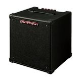 Aesco Promethean Elektro Bas Combo Amplifikatör 20 W @8ω - 1 x 20,3 cm Hoparlör (P20)