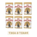 Aesco Royal Canin British Shorthair Adult Yetişkin Yaş Kedi Maması 85 gr x 6 Adet