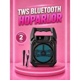 Aesco Taşınabilir 6.5” Bluetooth Hoparlör USB Tf Kart Mikrofonlu Şarjlı Sistem