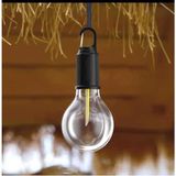 Aesco Taşınabilir Şarjlı LED Ampül Outdoor Kamp Bahçe Lambası 10W Askılı Kırılmaz LED Işık ( Lisinya )