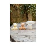 Aesco Teddy Bear Mini Tekli Mum Kalıbı (Silikon)