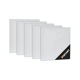 Aesco Tuval 15X15 cm 5'li Paket