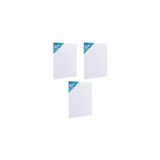 Aesco Tuval 35X50 (3 Lü)