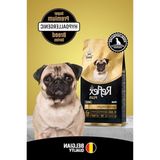 Aesco Yetişkin Köpek Maması - 8 Kg, Özel Beslenme Formülü
