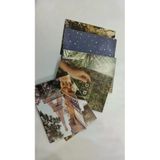Aesthetic Doğa ve Seyahat Temalı Duvar Kolaj Kiti - 50 Adet Paris Eyfel Kulesi ve Vintage Kaset Poster Kartları, Retro Bitki Odası Dekoru, Indie Yurt Odası Duvar Sanatı (10x15 cm)