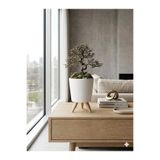 AFAM HEDİYELİK Düz Beyaz Desenli Dekoratif Seramik Bitki Orkide Saksısı 12x19 cm Dekoratif Vazo Masaüstü Dekor