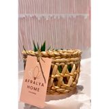 afralya home Naturel Hasır El Yapımı Minik Saksı Kaktüs Sukulent Saksısı 10 cm Mini Boy