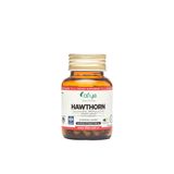 Afye Hawthorn 600 mg 60 Kapsül