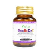 Afye Sambezinc Kara Mürver Beta Glukan Çinko Vitamin C 60 Kapsül
