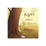 Agac Nasil Olusur - Olusum Hikâyeleri - Okul Oncesi Kitabi