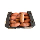 Ağacından Taptaze Tatlı Patates - 1 kg