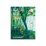 Ağaçlar Nasıl Doğar? + Minik Elif Anaokuluna Başlıyor: Ilk Okuma Kitabım + Tavşan Şeklindeki Boşluk + 27 Kitap