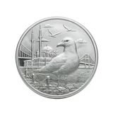 Agakulche İstanbul Martısı Gümüş Sikke Coin