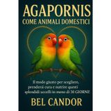 Agapornis Come Animali Domestici: Il modo giusto per scegliere, prendersi cura e nutrire questi splendidi uccelli in meno di 30 GIORNI!: 5