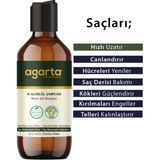 Agarta 3x400 ml At Kuyruğu Bitkisel Şampuan
