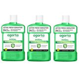 Agarta Ağız Bakım Suyu Alkolsüz Ferah Nefes Doğal Nane Ferahlığı 250 ml x 3 Adet