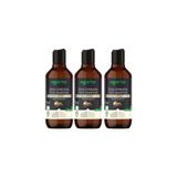 Agarta Doğal Siyah Sarımsak Özlü 3x400 ml Keratin Şampuanı