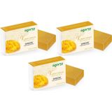 Agarta El Yapımı Doğal Kükürt Sabunu, 150 gr, 3'lü Set