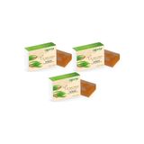 Agarta El Yapımı Doğal Sabun, Çay Ağacı, 150g, 3'lü Set
