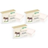 Agarta El Yapımı Doğal Sabun, Eşek Sütü, 150 gr, 3'lü Set