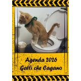 Agenda 2026 - Gatti che Cagano: Organizador de Calendario 2026 - 12 mesi (gennaio - dicembre) Un'idea regalo sciocca e divertente per gli amanti dei Cani.