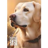 Agenda scolaire 2025 2026 Chien Labrador Journalier 1 jour par page Petit format 12x17 - Fille, garçon - Animaux: Primaire (CM1, CM2), collège, lycée - 1 page / jour - Chien, chiot, race Labrador