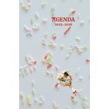Agenda scolaire journalier 2025-2026-Thème bonbon-Sucette-Vermicelle multicolore (12.85x19.84 cm) 1 page pour 2 jours