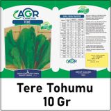 Agr 10 gr Tere Tohumu
