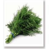 Agro Tohum Ata Tohumu Yerli Dereotu Ferah 1 gr Yaklaşık 500 Adet