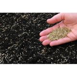 Agrobazaar Yonca Karisimli Az Su Ile Yasayabilen Cim Tohumu 1 Kg