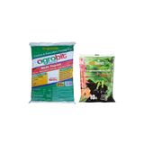Agrobit Akıllı 20lt Kaktüs Toprağı + Bitbest Bio 10lt Bitki ve Saksı Toprağı