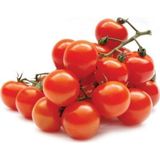 Agrodal Tarım Ata Tohumu Yerli Doğal Cherry Oturak Kahvaltılık Domates Misket 100 Ad. Sebze Tohumu