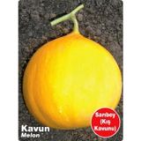 Agrodal Tarım Ata Tohumu Yerli Doğal Kışlık Kavun Sarıbey 100 Adet Tohum