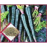 Agrodal Tarım Ata Tohumu Yerli Doğal Mor Havuç Tohumu 1000 Atet Tohum - 1000 Adet