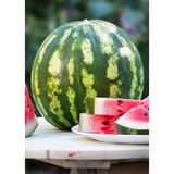 Agrodal Tarım Diyarbakır Karpuzu C.sweet Tipi 100 Adet Tohum