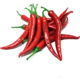 Agrodal Tarım Doğal Acı Şili Biberi Acı Biber Hot Chılean Pepper 100 Adet Tohum