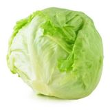AGRodal Tarım Doğal Marul Tohumu Iceberg 1000 Adet