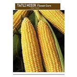 AGRODAL TARIM HİBRİT TATLI MISIR (BARDAKTA MISIR) FULYA-F1 50 ADET TOHUM