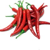 Agrodal Tarım İthal Doğal Acı Şili Biberi Acı Biber Hot Chilean Pepper 100 Ad Tohum