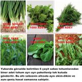 AGRodal Tarım Karışık Yeşillik Sebze Seti Tohumları 6 Çeşit Sebze Biner Adet