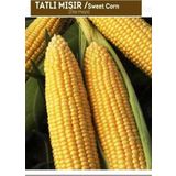 Agrodal Tarım Sweetcorn Tatlı Mısır Bardakta Mısır Tohumu 50 Adet Tohum