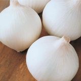 Agrodal Tarım Yerli Doğal Beyaz Baş Soğan 500 Adet Tohum