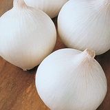 Agrodal Tarım Yerli Doğal Beyaz Soğan 500 Adet Tohum
