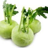 AGRODAL TARIM Yerli Doğal kohlrabi Yer Lahanası Cehennem Topuzu Yeşil Alabaş Turpu 100 Adet Tohum