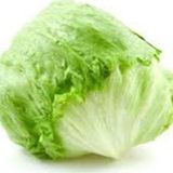Agrodal Tarım Yerli Doğal Salata Göbek Marul Iceberg 100 Ad. Tohum