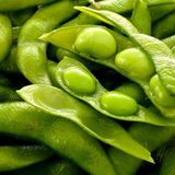 Agrodal Tarım Yerli Doğal Soya Fasulyesi Tohumu 50 Adet Tohum - 1 Paket