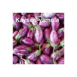 AGRODAL TARIM Yerli Doğal Yöresel Kayseri Yamula Patlıcanı Pijamalı Patlıcan 50 Adet Tohum