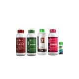 AGROEGE Çicek Tutturucu Tim Bosteer 4-15-0 - Orion-algue-amino 24 1 Litre