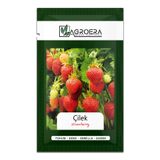 AGROERA 100 Adet Sarmaşık Çilek Tohumu