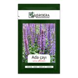 AGROERA Adaçayı Çiçek Tohumu (salvia Officinalis) 50 Adet